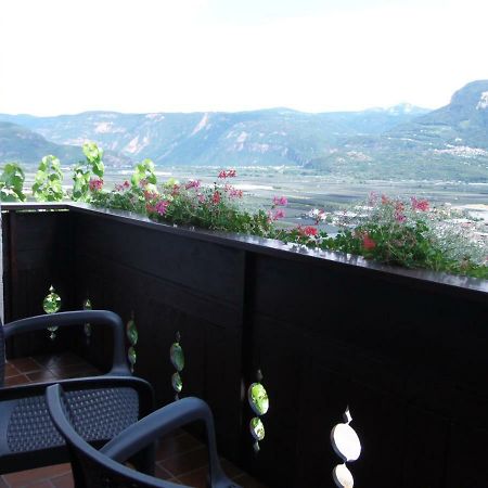 Garni Runggner Traubenhof Hotel Termeno Kültér fotó